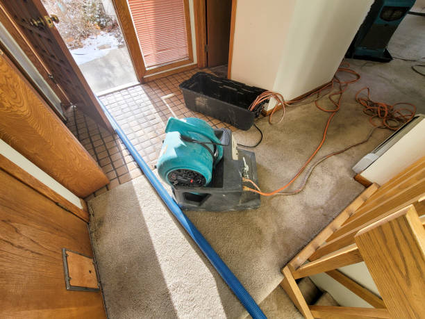 Best Sewage cleanup and water damage restoration  in Richmond, IN