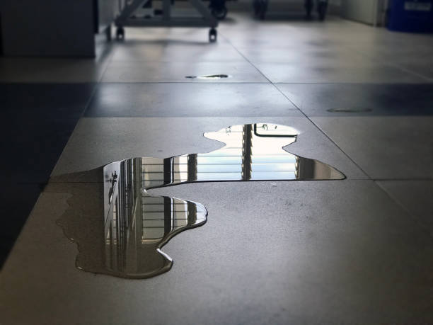 Best Local water damage restoration  in Richmond, IN