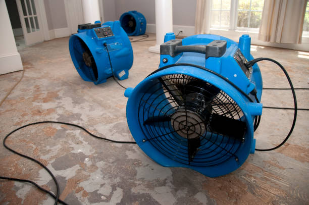 Best 24/7 water damage repair  in Richmond, IN