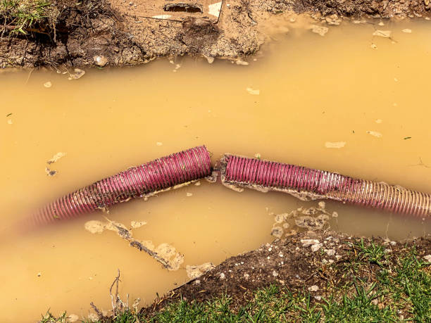 Best Water damage restoration near me  in Richmond, IN