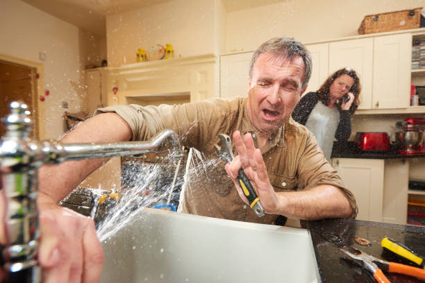 Best Flood damage cleanup  in Richmond, IN
